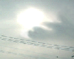 e0103408_7472691.gif