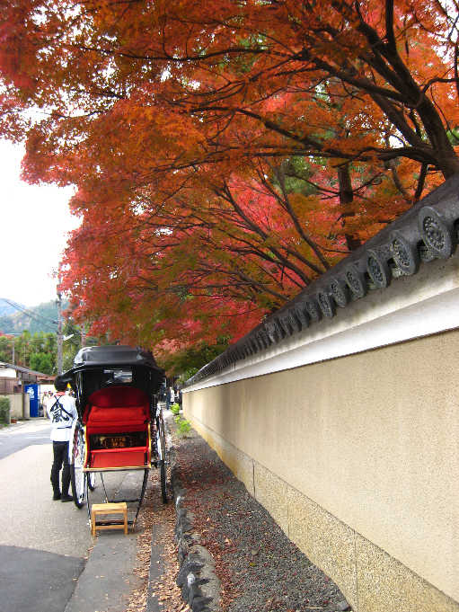 秋の京都てくてく旅　清凉寺_d0154609_10174831.jpg