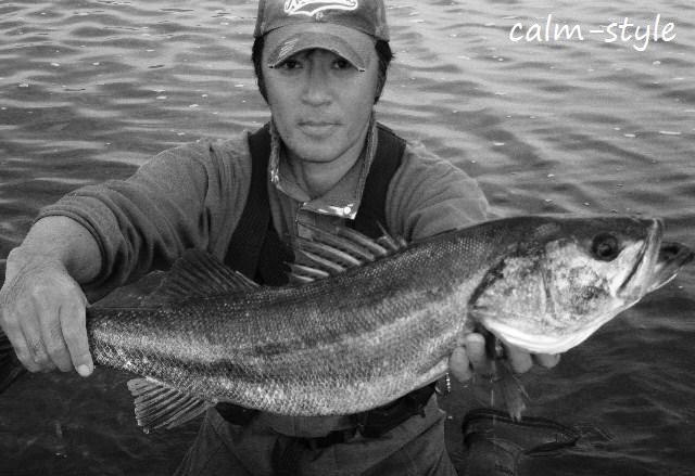 魚は釣れる時に釣っとけ！（連日の日中スズキ）_a0129011_1435519.jpg