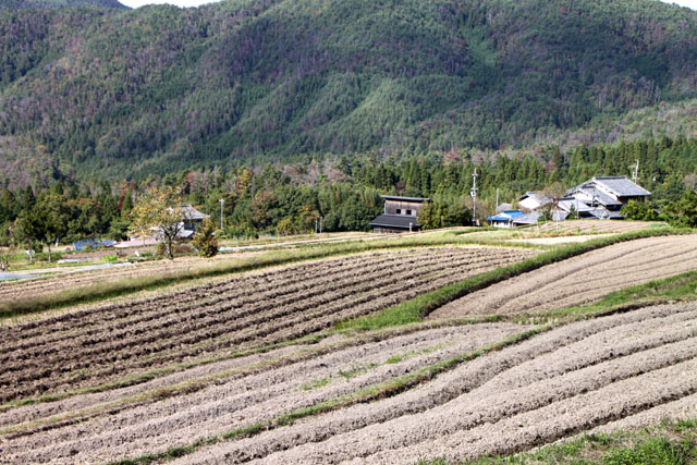山里 越畑_e0048413_1931486.jpg