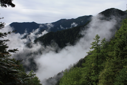 b0093515_7565345.jpg