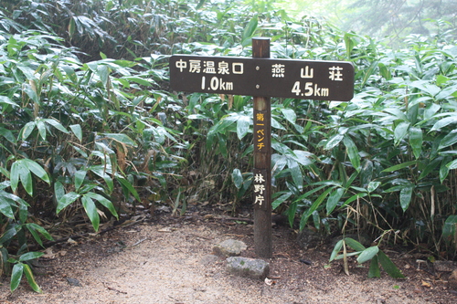 b0093515_757555.jpg