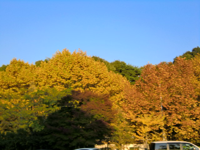 a0147416_18234168.jpg