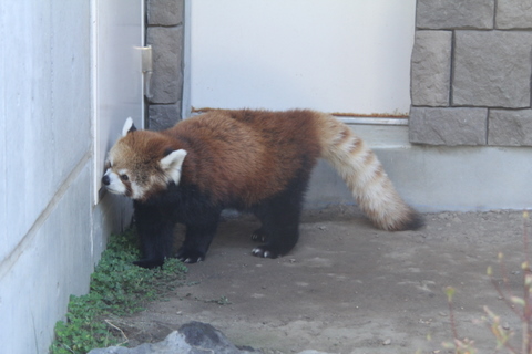 f0221023_07459.jpg