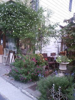 e0128024_0321368.jpg