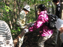 高浜町で開催された「森林療法」研修会に参加しました（その２）_e0061225_13181722.jpg