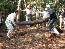 高浜町で開催された「森林療法」研修会に参加しました(その2)_e0061225_13261568.jpg