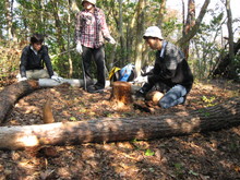 高浜町で開催された「森林療法」研修会に参加しました(その2)_e0061225_13264899.jpg