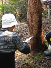 高浜町で開催された「森林療法」研修会に参加しました（その２）_e0061225_13265729.jpg