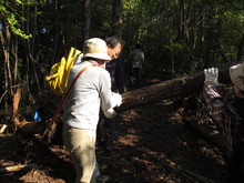 高浜町で開催された「森林療法」研修会に参加しました（その２）_e0061225_1392681.jpg