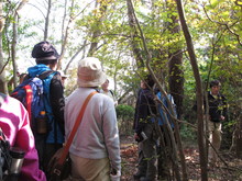 高浜町で開催された「森林療法」研修会に参加しました（その２）_e0061225_14365846.jpg