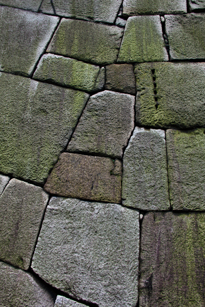c0162926_8105591.jpg