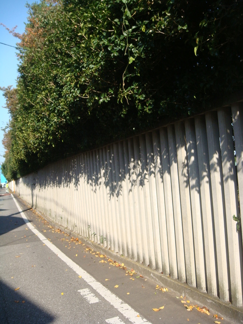 ほのかな香りの正体は_a0137727_18115090.jpg
