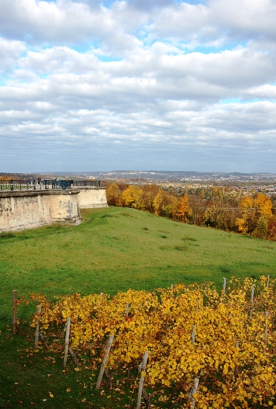 f0095128_4584214.jpg