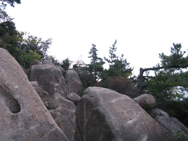 朝食背負ってハイキング　芦屋〜荒地山_c0071438_11262997.jpg