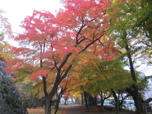 岩手公園の紅葉をじっくりと_d0156438_12245587.jpg