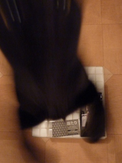 ヤマト発進せよ!猫。_a0143140_2157814.jpg