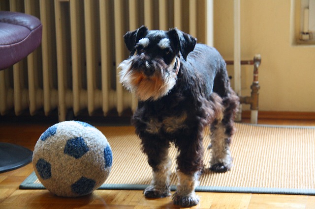 c0153740_1552641.jpg