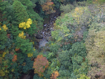 秋の山道は宝石箱のよう_e0110940_1835119.jpg