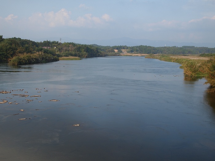 a0146442_16172055.jpg