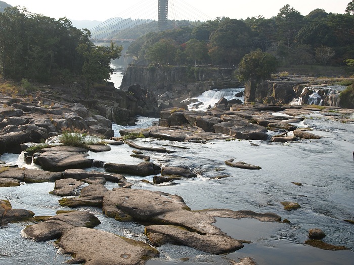 a0146442_161768.jpg