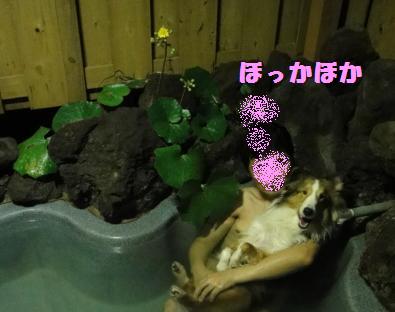 湯河原温泉いい湯だワン~♪つづき_e0195743_1251730.jpg
