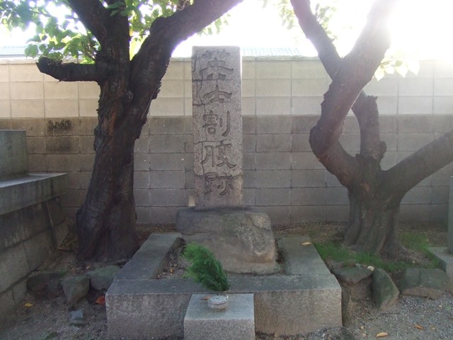 Myokokuji Temple in Sakai City_e0046748_20414763.jpg