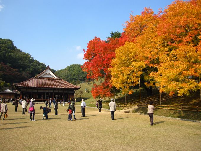 特別史跡旧閑谷学校_f0108049_23191040.jpg