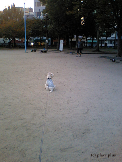 キャッチボールの後もパワー全開!_b0107163_4231981.jpg