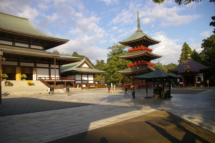 「東庄ふれあいまつり」の帰途、成田山新勝寺を参拝：11・4_c0014967_10144993.jpg