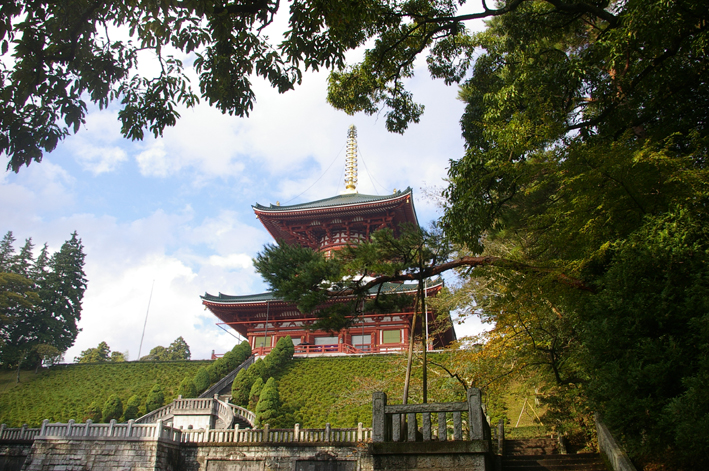 「東庄ふれあいまつり」の帰途、成田山新勝寺を参拝：11・4_c0014967_10153072.jpg