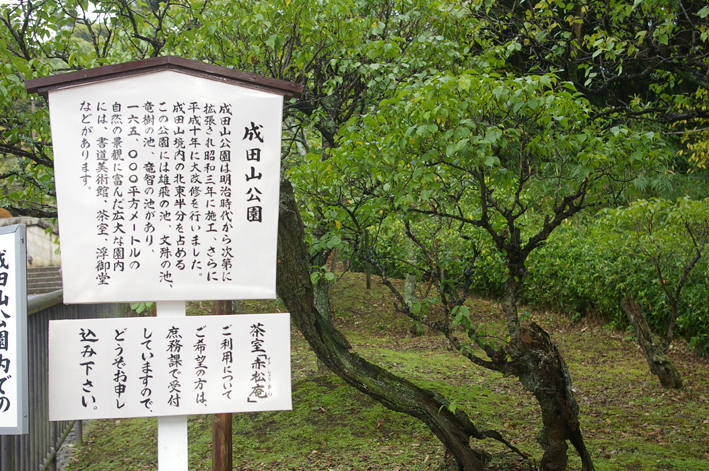 「東庄ふれあいまつり」の帰途、成田山新勝寺を参拝：11・4_c0014967_10162656.jpg