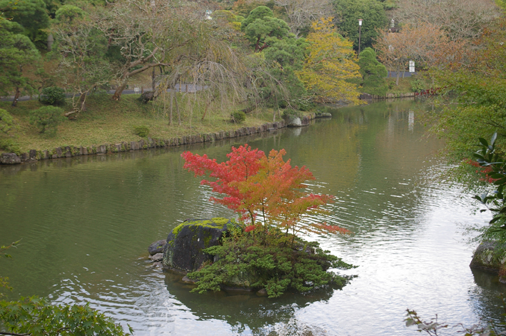 「東庄ふれあいまつり」の帰途、成田山新勝寺を参拝：11・4_c0014967_1017312.jpg