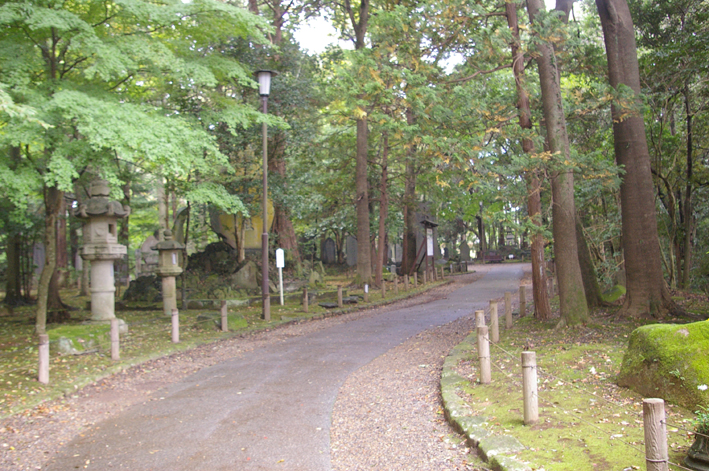 「東庄ふれあいまつり」の帰途、成田山新勝寺を参拝：11・4_c0014967_10221033.jpg