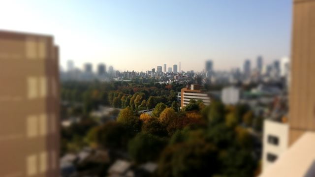 f0143269_5485013.jpg