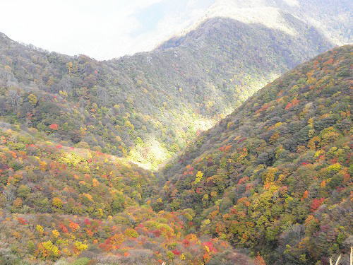 紅葉＆お楽しみ旅行　~伊吹山~_c0172184_6475968.jpg