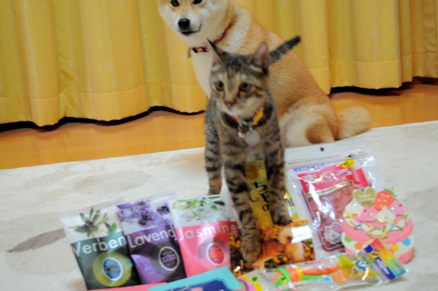 プレゼントをありがとう!_a0126590_4491180.jpg