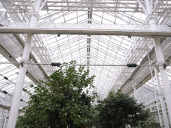 c0220592_1831989.gif