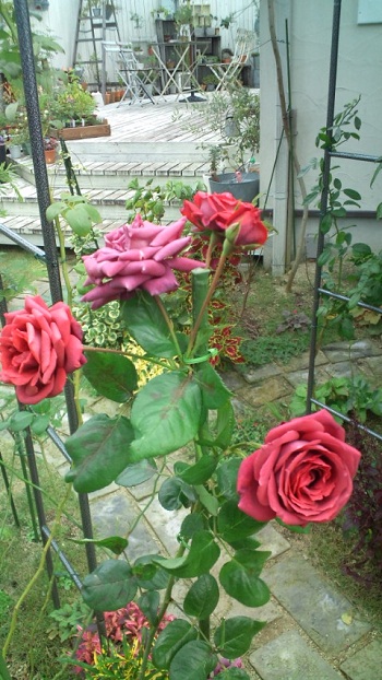 b0207995_20275549.jpg