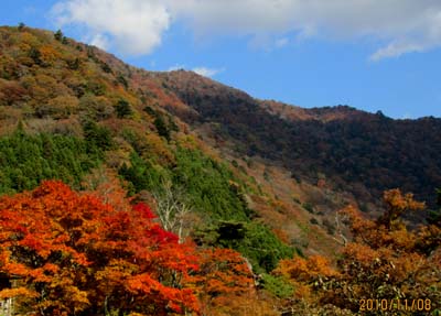 國峰会研修・懇親旅行_c0220597_0222763.jpg