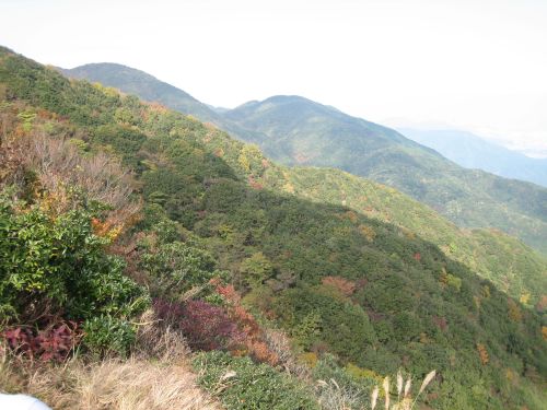 f0036700_11392922.jpg
