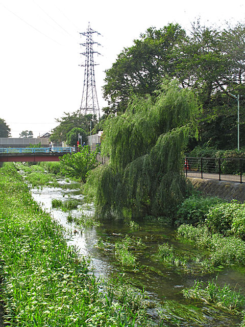 c0163001_2031567.jpg