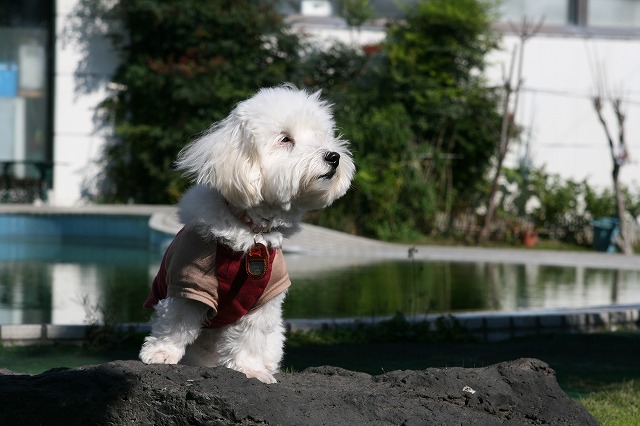 a0032004_0938.jpg