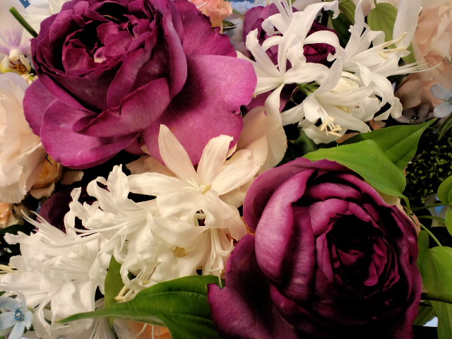 a0088007_1514211.jpg