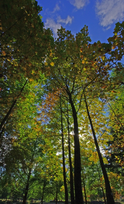 c0156908_0414923.jpg