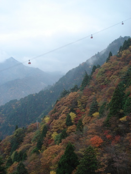 2010年 紅葉の御在所岳_d0130209_23382771.jpg