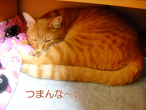 お久しぶり!_a0135010_18223980.jpg