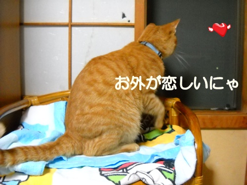 お久しぶり!_a0135010_18245030.jpg