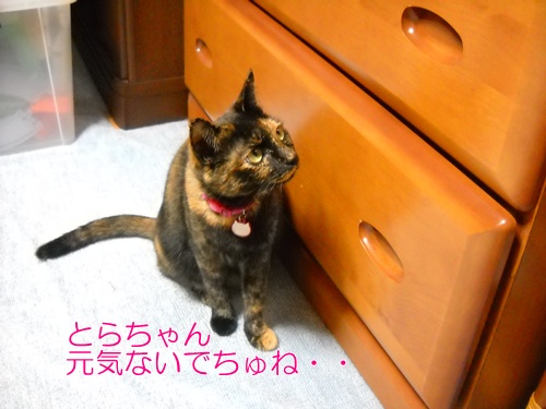 お久しぶり!_a0135010_18261929.jpg