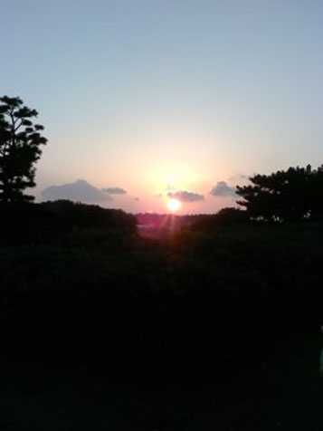 さてさて_d0106911_1115859.jpg